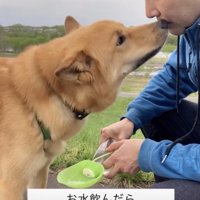 飼い主さんに「おすそわけ」