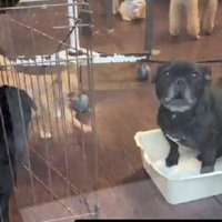 「待ってたよ！ママ！！」