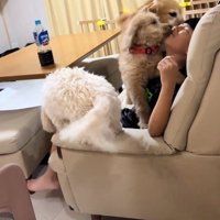 顔をなめられるお孫さん