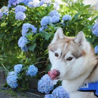 見返り