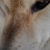 微笑ましい一幕でした