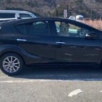 思わず二度見！！