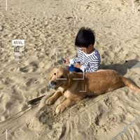 砂浜で座る男の子に寄りそうゴールデンレトリバー