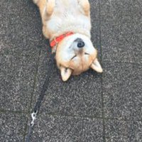 穏やか