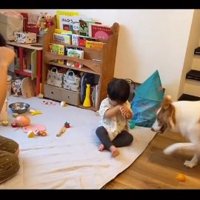 ラスカルくんの真似をする息子さん