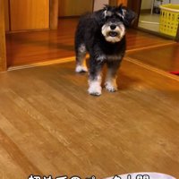 口をあんぐりと開けて…