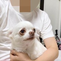悲しそうな表情…