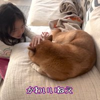 女の子は花子ちゃんが大好き♡