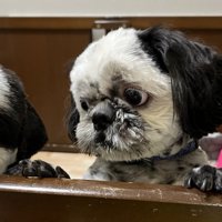 表情豊か