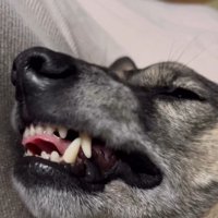 すごいお顔に！（笑）