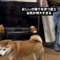 スタコラサッサとどこかへ