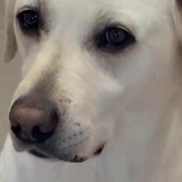 「もう行っちゃうの？」