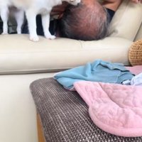 嬉しそうにしっぽをフリフリ