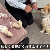 じいじにきゅうりをもらったよ