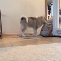 しゃがむママ
