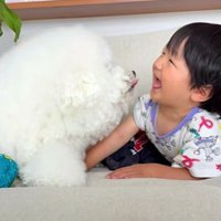 寝そべる息子さんとむぎくん