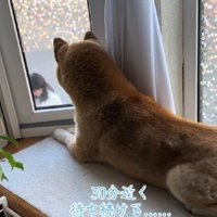 なっちゃんを待つ朔ちゃん