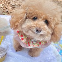 どちらのカットも素敵♪