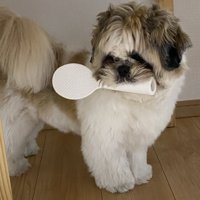 謎