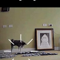 会話ボタンマットの上で「フーフー」ボタンを押す犬