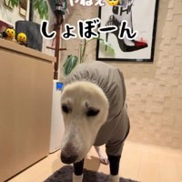 カッパを着てションボリ顔に！