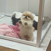 閉じ込め