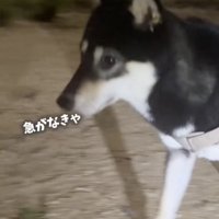 すぐさま歩き出します