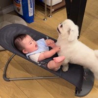 優しさあふれる一幕でした