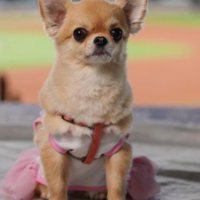 かわいすぎる犯人でした♡