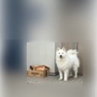 「ちゃんと届きました！」