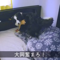 「起きて～！」と大暴れ