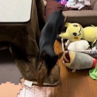 急に動き出すナツくん