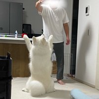 神