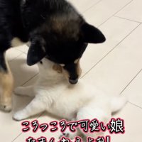 ずっとハイテンションなお父さん