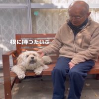 しょんぼりした犬1