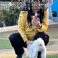 女性に撫でてもらうおもちくん