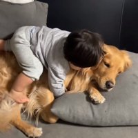 ピノくんに覆いかぶさる息子さん