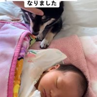 ミヤビちゃんを撫でるママ