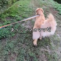 畑に向かいます