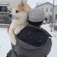 大きな赤ちゃんのよう♡