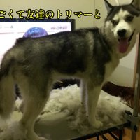 シャンプーして綺麗に♪