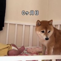 目を合わせられなかった