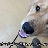 呼んでも動かなくなりました