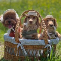 かけがえのない存在に