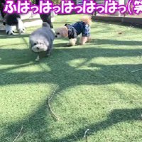 笑いが止まらなくなった