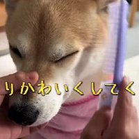 オーダーはとびきりかわいく！