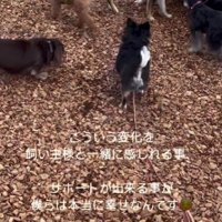 人間は怖いものじゃない…