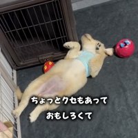 のびのびと成長
