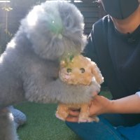 抱きついて大喜び！