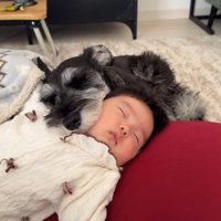 テンちゃんと赤ちゃん